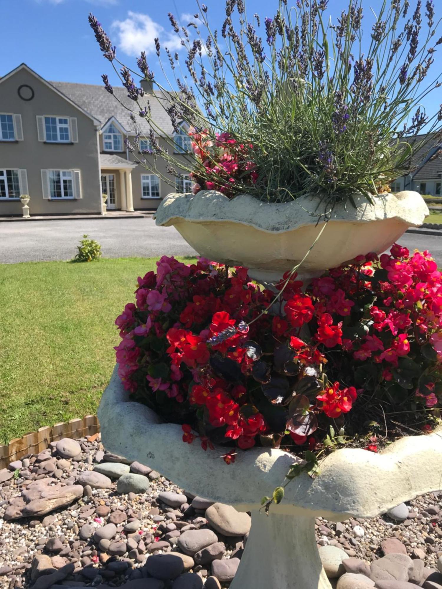 Kielty'S Of Kerry Bed And Breakfast Waterville Extérieur photo